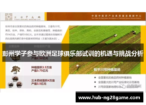 彭州学子参与欧洲足球俱乐部试训的机遇与挑战分析