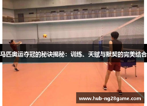 马匹奥运夺冠的秘诀揭秘：训练、天赋与默契的完美结合