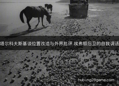 塔尔科夫斯基谈位置改造与外界批评 埃弗顿后卫的自我调适 塔尔科夫斯基谈位置改造与外界批评 埃弗顿后卫的自我调适